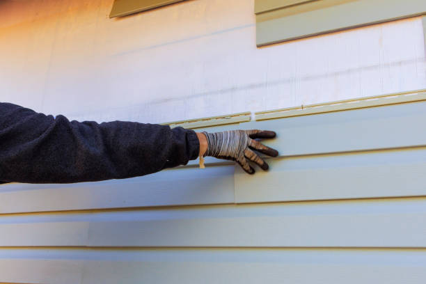 Best Vinyl Siding Installation  in Almont, MI